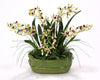 Distinctive Designs Home Decor Green Vanda Orchids With Ferns In A Green Glazed Planter