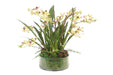 Distinctive Designs Home Decor Green Vanda Orchids With Moss In Glass Cylinder