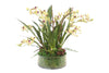 Distinctive Designs Home Decor Green Vanda Orchids With Moss In Glass Cylinder