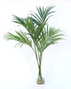 Distinctive Designs Home Decor Kentia Palm In Clear Vase