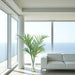 Distinctive Designs Home Decor Kentia Palm In Clear Vase