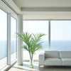 Distinctive Designs Home Decor Kentia Palm In Clear Vase