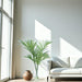 Distinctive Designs Home Decor Kentia Palm In Clear Vase