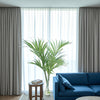 Distinctive Designs Home Decor Kentia Palm In Clear Vase