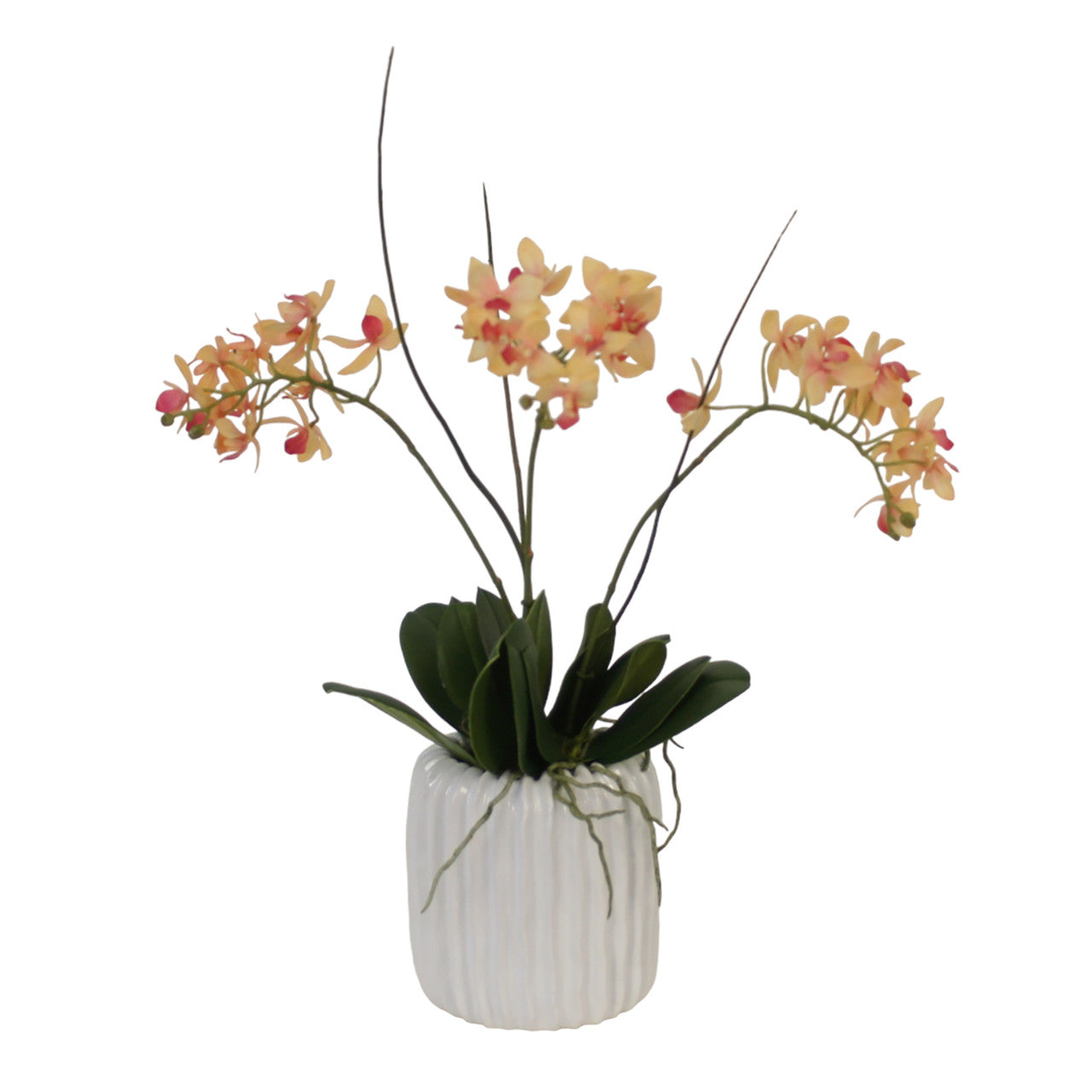 Distinctive Designs Home Decor Mini Orchid With Foliage In Ribbed White Vase