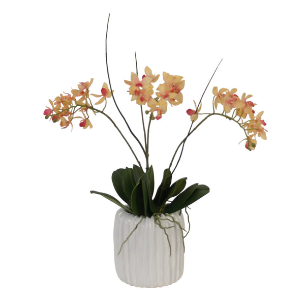 Distinctive Designs Home Decor Mini Orchid With Foliage In Ribbed White Vase