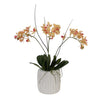 Distinctive Designs Home Decor Mini Orchid With Foliage In Ribbed White Vase