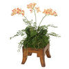 Distinctive Designs Home Decor Mini Orchids In Wooden Square