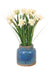Distinctive Designs Home Decor Paperwhites In Aged Blue Field Pot