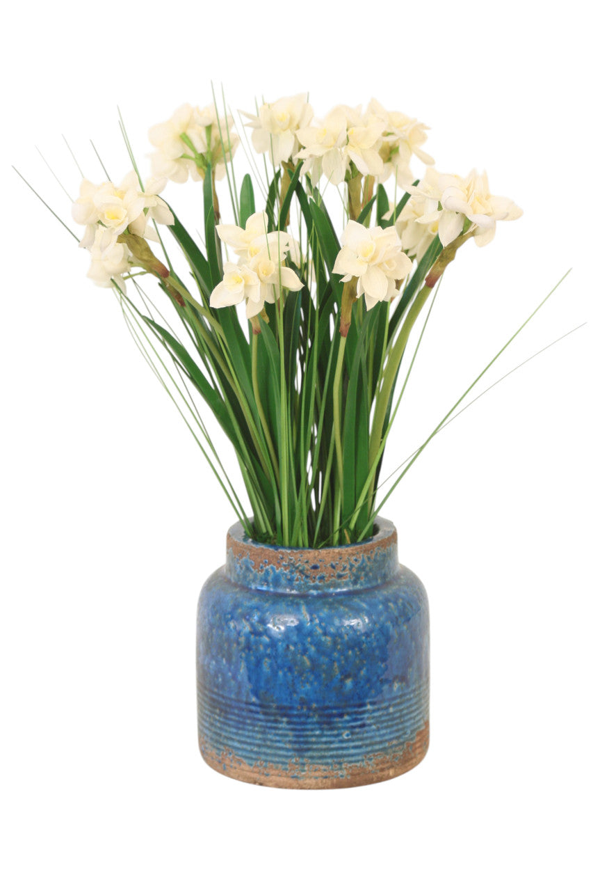 Distinctive Designs Home Decor Paperwhites In Aged Blue Field Pot