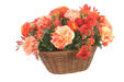 Distinctive Designs Home Decor Peach And Dark Red Ranunculus And Roses In Basket