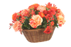 Distinctive Designs Home Decor Peach And Dark Red Ranunculus And Roses In Basket