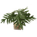 Distinctive Designs Home Decor Philodendron Leaves In Glass Square