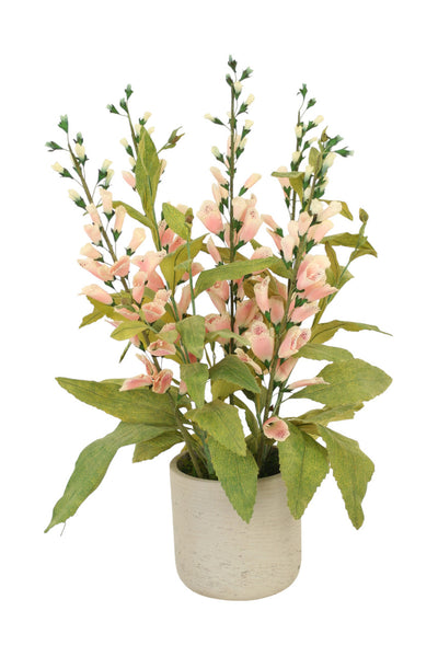 Distinctive Designs Pink Foxglove Plant In Grey Planter