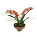 Distinctive Designs Rust Cymbidium Orchids In Gold And Black Bowl