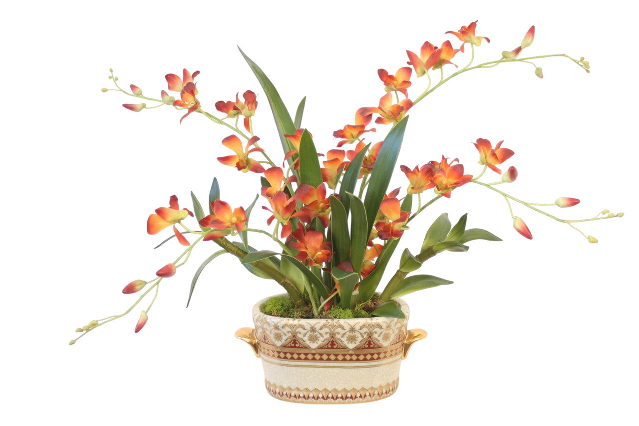 Distinctive Designs Rust Dendrobium Orchids in Decorative Planter