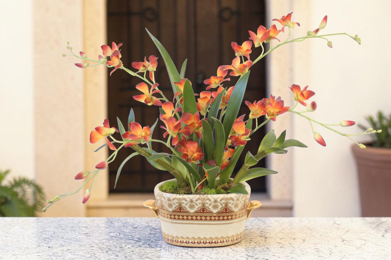 Distinctive Designs Rust Dendrobium Orchids in Decorative Planter