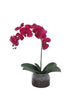 Distinctive Designs Home Decor Violet Orchid With Foliage