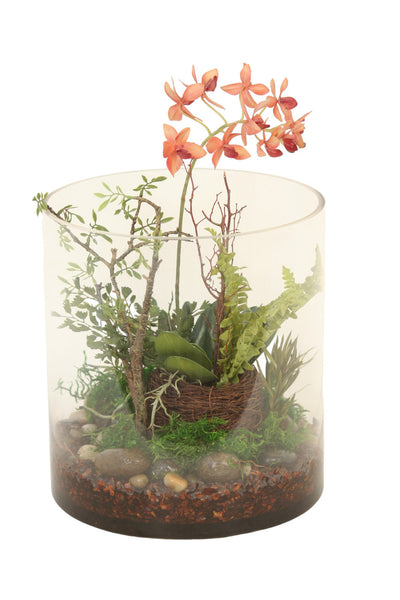Distinctive Designs Home Decor Waterlook Phalaenopsis Orchid Garden In Round Glass Cylinder
