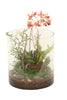 Distinctive Designs Home Decor Waterlook Phalaenopsis Orchid Garden In Round Glass Cylinder