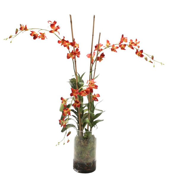 Distinctive Designs Home Decor Waterlook Rust Dendrobium Orchid Plant With Moss In Glass Cylinder