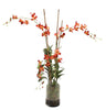 Distinctive Designs Home Decor Waterlook Rust Dendrobium Orchid Plant With Moss In Glass Cylinder