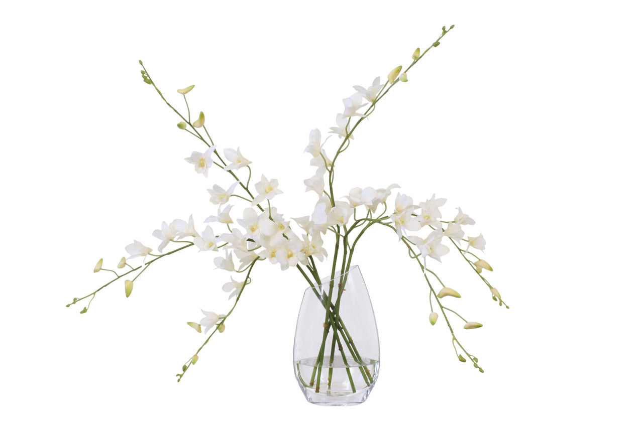 Distinctive Designs Home Decor Waterlook White Dendrobium Orchid In Angled Glass Vase