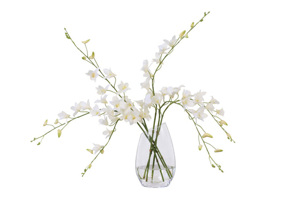Distinctive Designs Home Decor Waterlook White Dendrobium Orchid In Angled Glass Vase