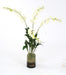 Distinctive Designs Home Decor Waterlook White Dendrobium Orchid Plant With Moss In Glass Cylinder