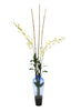 Distinctive Designs Home Decor White Dendrobium Orchid With Bamboo In Blue Victorian Glass Vase