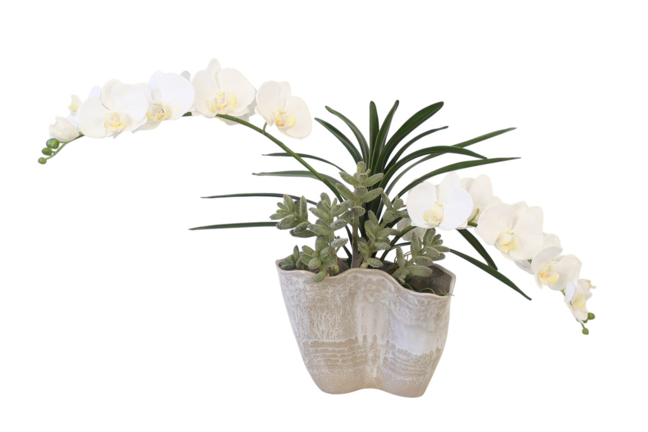 Distinctive Designs White Orchids In Tan And White Pot