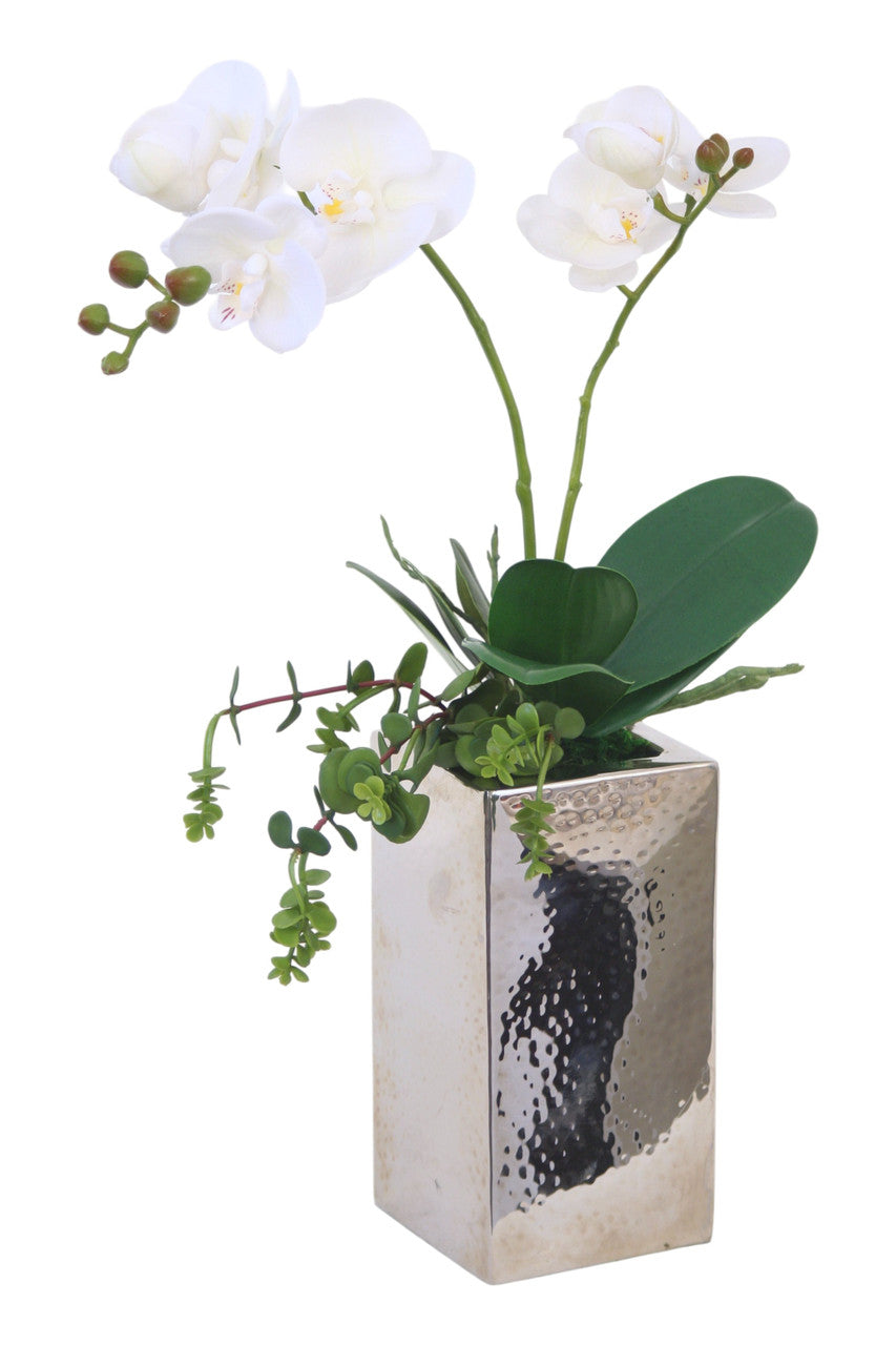 Distinctive Designs White Phalaenopsis Orchid In Hand Hammered Nickel Vase