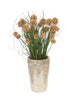 Distinctive Designs Wild Allium With Grass In Cream White Décor Vase
