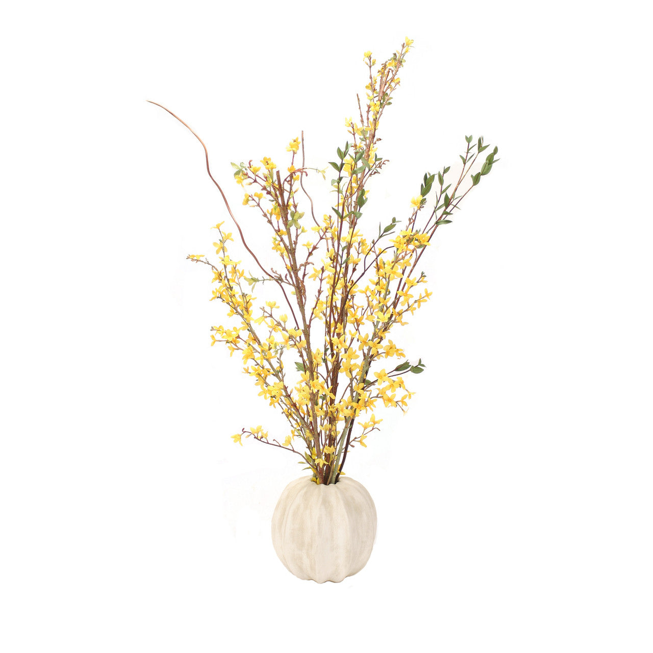 Distinctive Designs Yellow Forsythia In White Pumpkin Shaped Planter