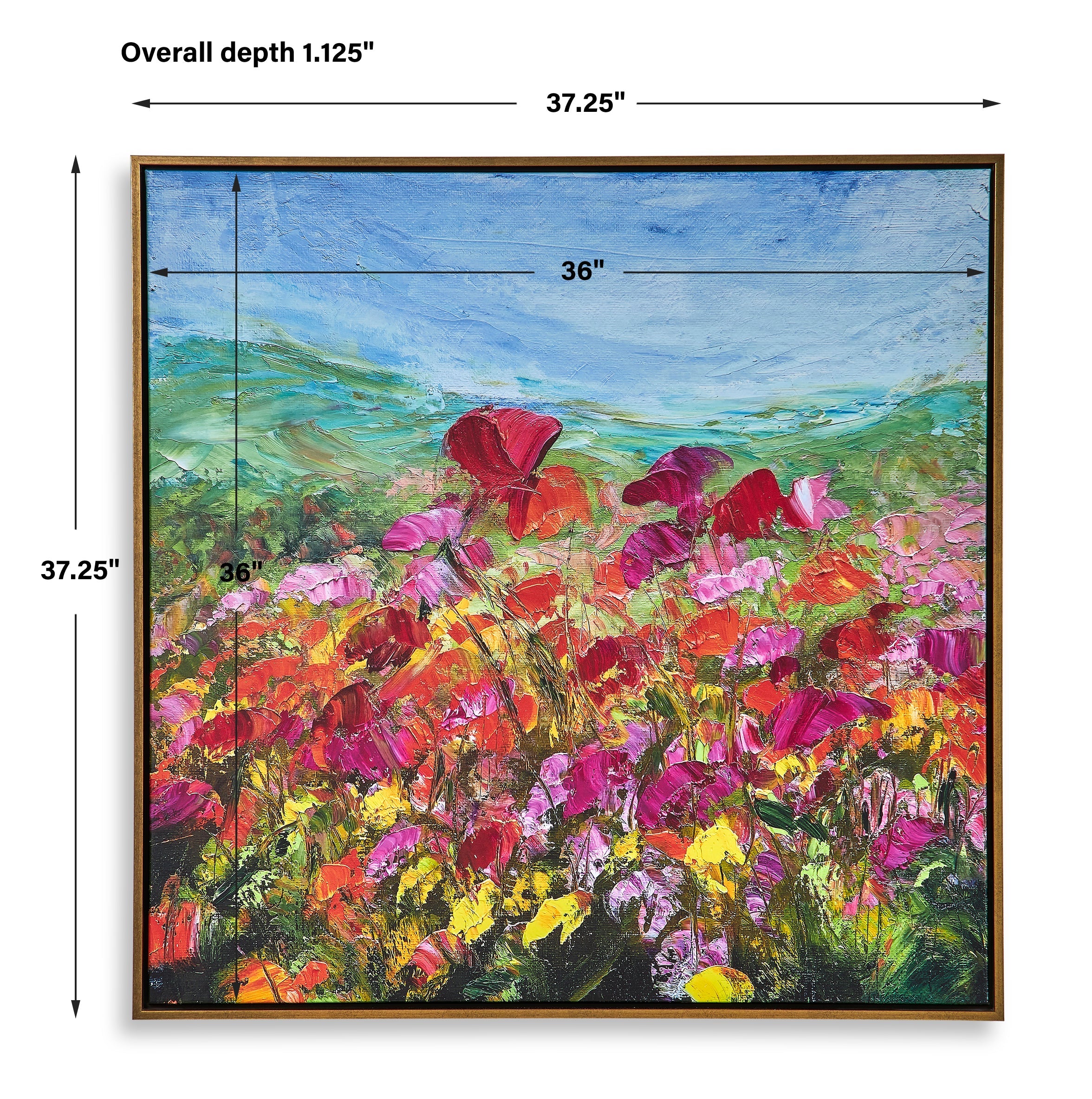 Furniture Direct Discount Home Decor Red Poppy Framed Canvas
