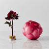 Kosta Boda Art Glass Kosta Boda Berry Tales Blush