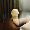 Kosta Boda Art Glass Kosta Boda Berry Tales Cream