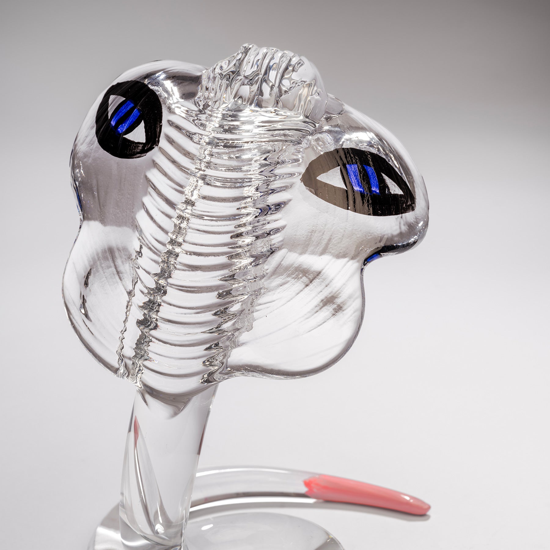 Kosta Boda Art Glass Kosta Boda Cobra Ld 100