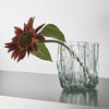 Kosta Boda Art Glass Kosta Boda Crackle Vase Circular Small