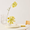 Kosta Boda Art Glass Kosta Boda Crackle Vase Clear Small