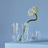 Kosta Boda Art Glass Kosta Boda Crackle Vase Clear Small
