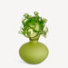 Kosta Boda Art Glass Kosta Boda Mino Sprin Green
