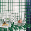 Kosta Boda Art Glass Kosta Boda New Friends Tumbler Duck