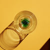 Kosta Boda Art Glass Kosta Boda New Friends Tumbler Frog