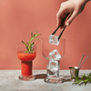 Kosta Boda Art Glass Kosta Boda Picnic Small Glass - Set of 2