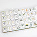 Krackle & Bam Mahjong Giftware Krackle & Bam - Orient Heritage Mahjong Tiles