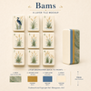 Krackle & Bam Mahjong Giftware Pat's Monograms, LLC - The Mahjestic South - Mahjong Set - PREORDER