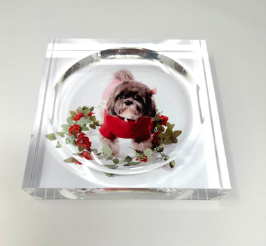 Kristin Smith Giftware Custom Pet Acrylic Catchall Candy Dish Tray