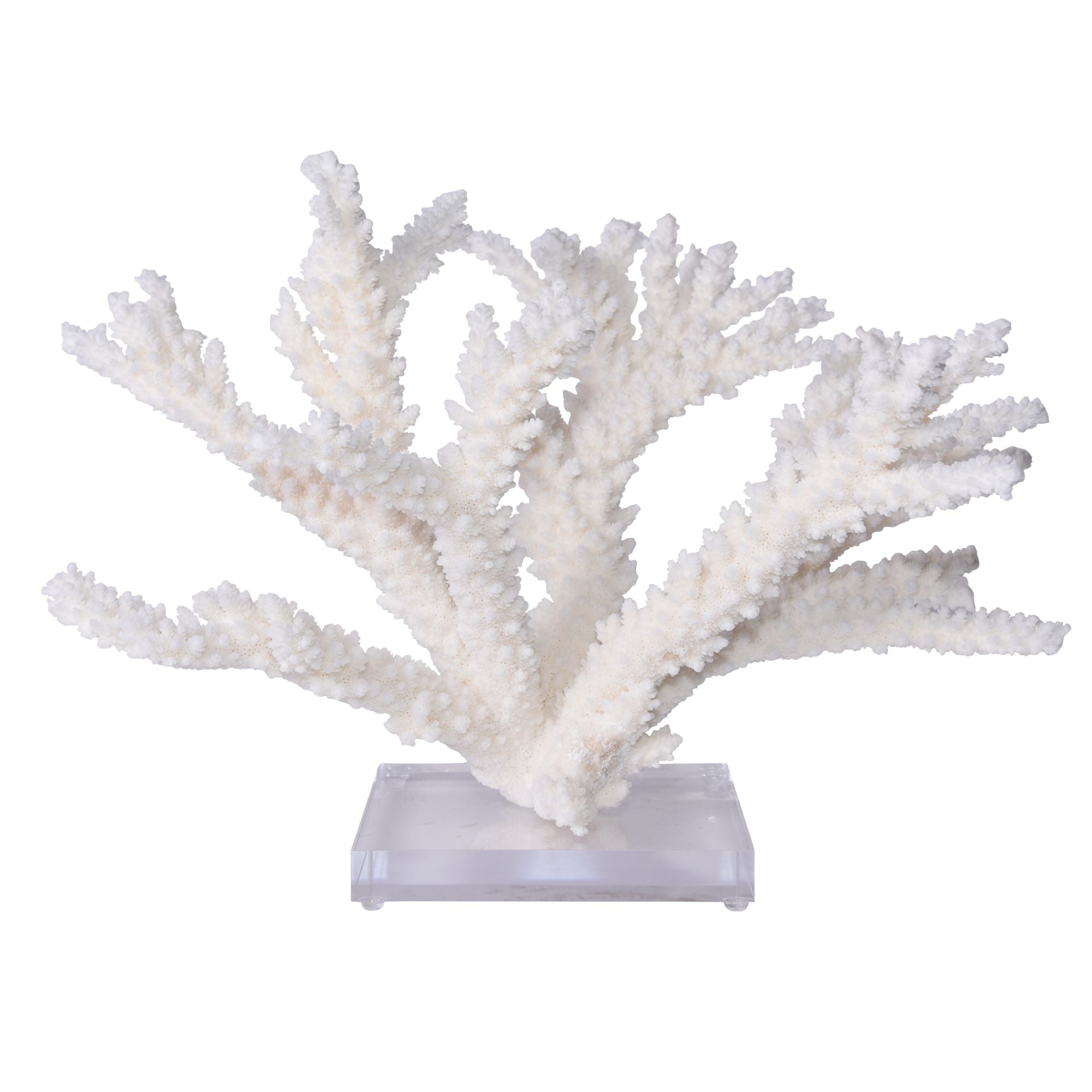 Legend of Asia Home Legend of Asia Branch Coral 20 inch On Acrylic Base