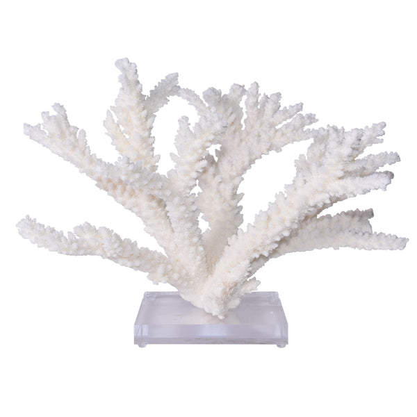 Legend of Asia Home Legend of Asia Branch Coral 20 inch On Acrylic Base
